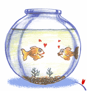 fishkissing.gif