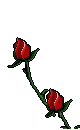 redroses.gif